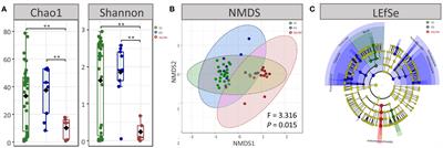 dupA+H. pylori reduces diversity of gastric microbiome and increases risk of erosive gastritis